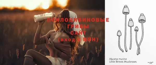 бутират Нязепетровск